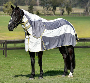 Equestrian Supplies On Sale: Weatherbeeta Breeze Combo Scrunch Neck II - White/Grey/Yellow