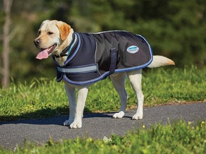 Dog Feed: Weatherbeeta Parka 1680D Dog Coat