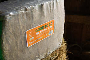 Horse Feed: Meadow Hay Compact Bale - Wrapped