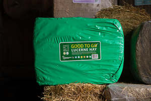 Lucerne Hay Compact Bale - Wrapped
