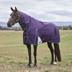 Horse Covers Nz: Weatherbeeta ComFiTec Plus Dynamic Turnout Combo Rug - Medium Lite