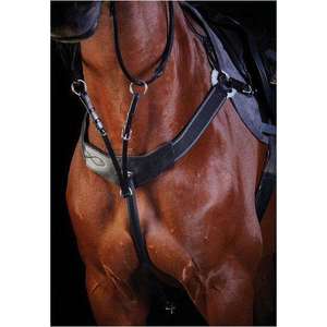 Collegiate Three Point Breastplate