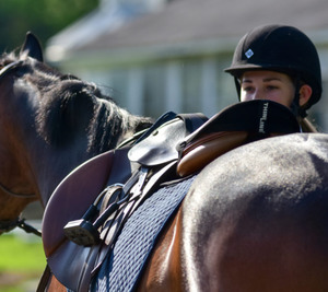 Thinline Saddle Pads: Thinline Seat Maker for English Riders