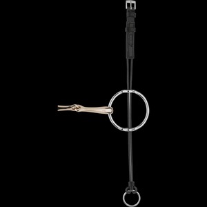 Bits: Sprenger Gag Cheek Pieces