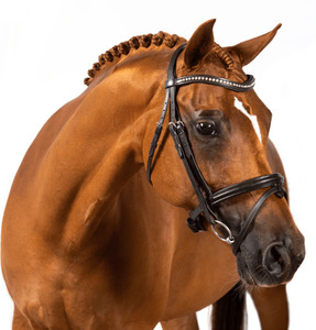 Bridles: Flexible Fit Premium Riley Snaffle Bridle