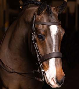 Bridles: LeMieux Flat Hunter Bridle with Laced Reins