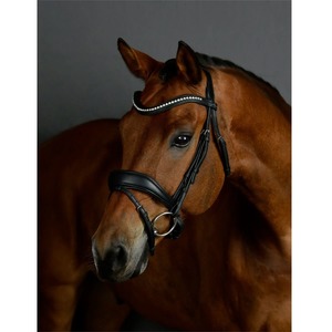 Bridles: Collegiate ComFiTec Opulux Padded Dressage Bridle