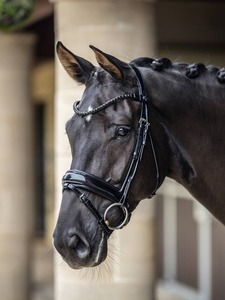 Bridles: LeMieux Kudos Patent Dressage Bridle