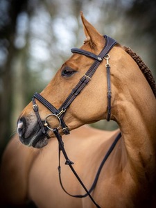 Bridles: LeMieux Kudos Work Bridle