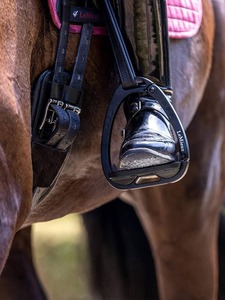 Stirrup Leathers Irons: LeMieux Vector Control Stirrups
