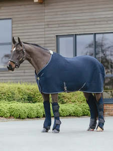 Horse Boots Online: LeMieux Kudos 3D Mesh Travel Boots