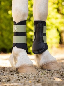 Horse Boots Online: LeMieux Mini Brushing Boots - Spring 24