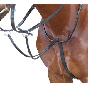 Breastplates: Kincade Running Martingale