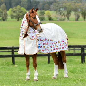 Summer Horse Covers Fly Sheets: Kool Coat Cotton Airstream - 2024