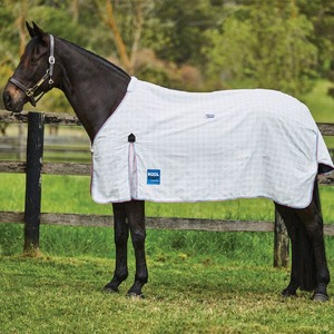Summer Horse Covers Fly Sheets: Kool Coat Cotton Standard Neck - White/Turquoise/Pink