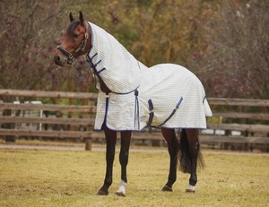 Summer Horse Covers Fly Sheets: Weatherbeeta Summer Sheet Detach-A-Neck With Freestyle Tail