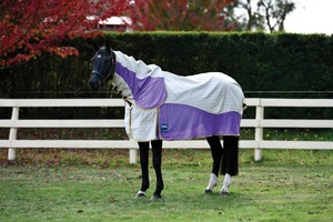 Summer Horse Covers Fly Sheets: Kool Coat Cotton Airstream - 2022