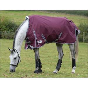Winter Horse Rugs: Weatherbeeta ComFiTec Plus Dynamic II Standard Neck - Medium/Lite