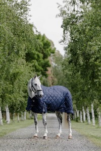 Show Rugs: Cavallino Stable Rug 220gm