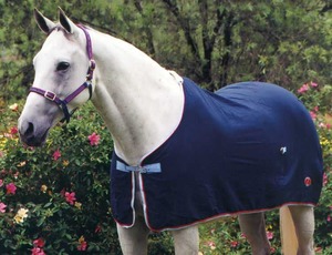 Show Rugs: Zilco Defender Wool Rug