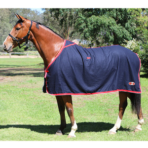 Show Rugs: Zilco Stadium Wool Rug