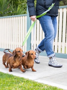Casual Footwear: Bogs Patch Ankle Boot - Dog