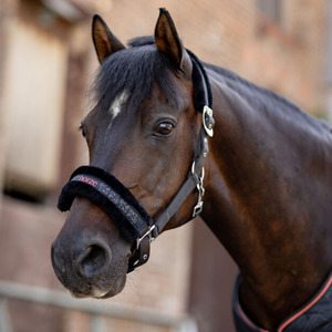 Halters Lead Ropes: Horze Pegasus Pony Halter Set