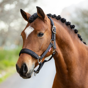 Halters Lead Ropes: LeMieux Logo Headcollar - AW24