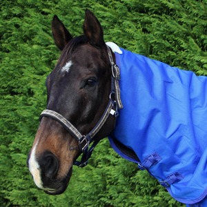 Halters Lead Ropes: Pessoa Padded Halter Plaid