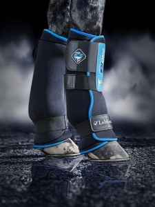 Therapy Boots: LeMieux ProIce Freeze Boots