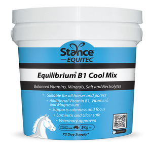 Behavioural Supplements For Horses: Equilibrium B1 (Blue)