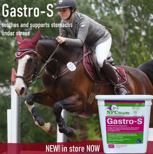 Digestive Health Supplements For Horses: NPC Gastro-S