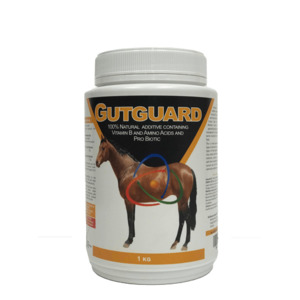 Digestive Health Supplements For Horses: Gutguard