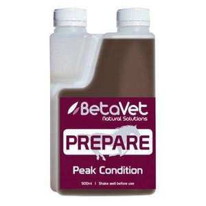 Digestive Health Supplements For Horses: Betavet Prepare