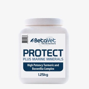 Herbal Supplements: Betavet Protect