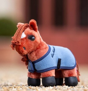 Childrens Horse Riding Clothes: LeMieux Tiny Pony - Thomas