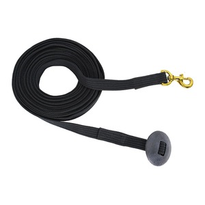 Flair Lunge Lead