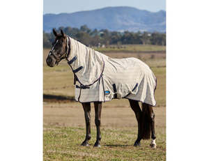 Weatherbeeta Cotton Summer Sheet Combo Cover - New