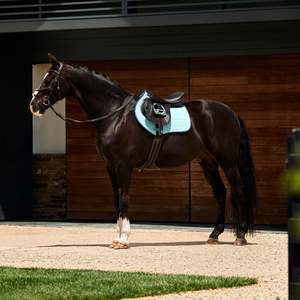 Weatherbeeta Suede Elite Air-Tec Jump Shaped Saddle Pad