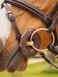Bits: LeMieux Contoured Rubber Bit Guards - Brown
