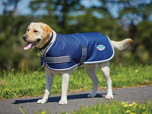 Dog Feed: Weatherbeeta ComFiTec Parka 1200D Dog Coat - Navy/Grey/White
