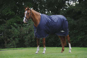 Saxon Defiant with Buckle 600D Standard Neck - Lite Plus 50g - Navy/White