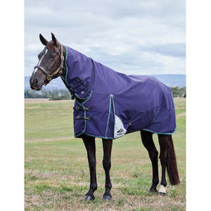 Weatherbeeta ComFiTec Plus Dynamic Turnout Combo Rug - Lite 0g
