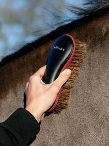Lemieux: LeMieux Body Brush - Black