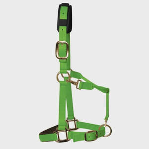 New Tack: KM Elite Luxury Padded Headcollar