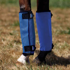 Weatherbeeta Horse Covers: Weatherbeeta ComFiTec Dura-Mesh Fly Boots