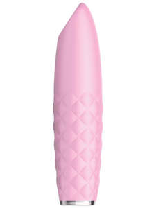 Vibrators: THE PRINCESS RECHARGEABLE BULLET