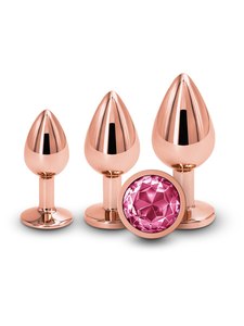 Anal Toys: REAR ASSETS TRAINER KIT ROSE GOLD PINK