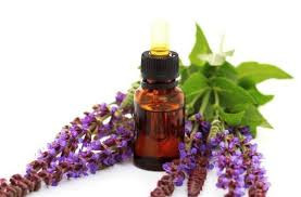 Products: Clary Sage - 10ml House Of Oils