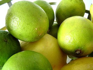 Lime - 10ml House Of Oils